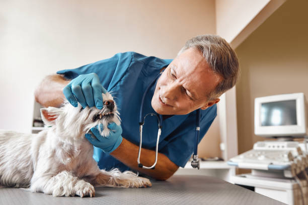 Best Walk-In Emergency Dentist in Richmond West, FL